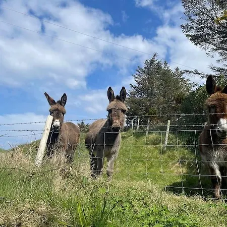 Ferienhaus An Teach Illanmore