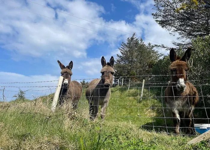 Σπίτι διακοπών An Teach Illanmore